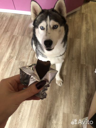 Хаски кабель