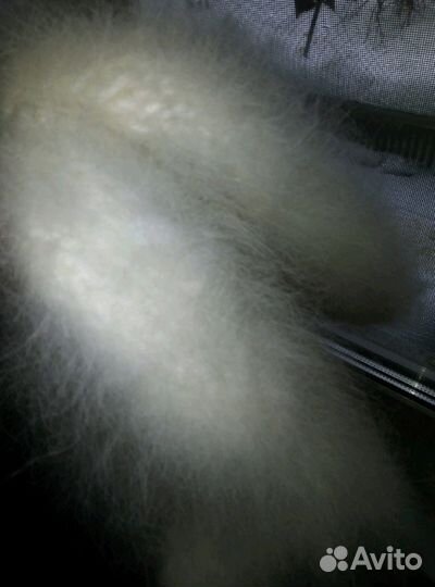 Носки из собачье го пуха