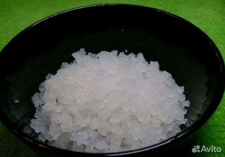 Морской рис