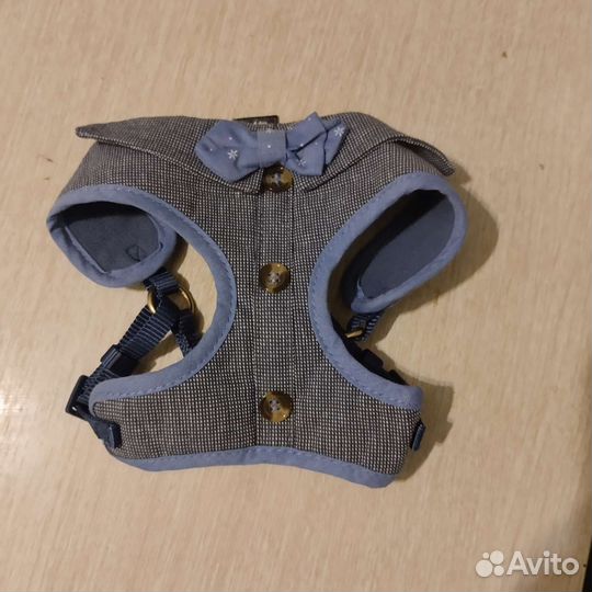 Шлейка для собаки