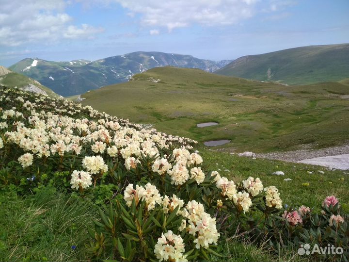 Гид проводник Адыгея экскурсии