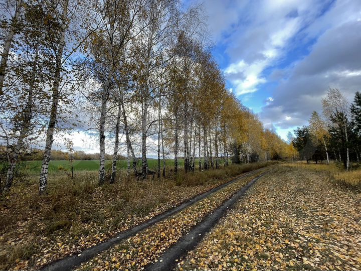 Участок 9,5 га (СНТ, ДНП)