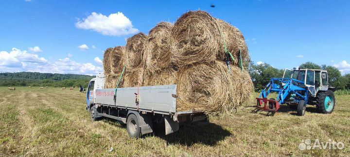Сено в рулонах, тюк