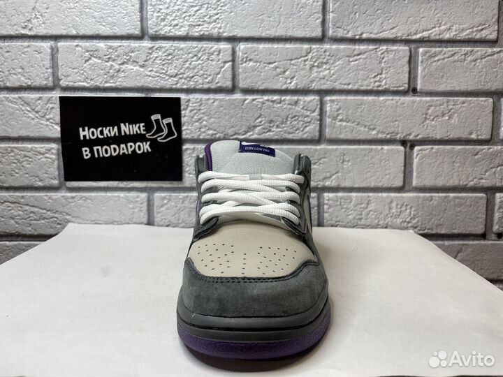 Nike Dunk SB Low Pigeon Purple