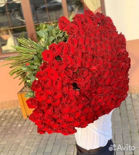 Розы гиганты 140 150 160 170 180 200