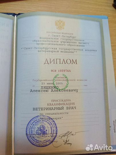 Стерилизация кошек на дому. Все районы города