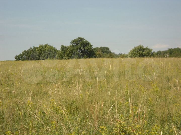 Участок 10 га (СНТ, ДНП)