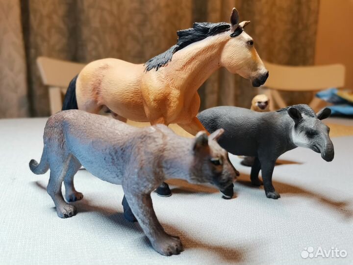 Mojo (Animal Planet): лошадь, ленивец, пума, тапир
