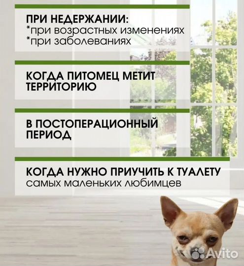 Одежда для средних собак