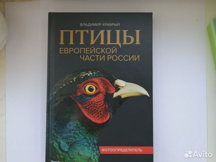 Птицы европейской части России