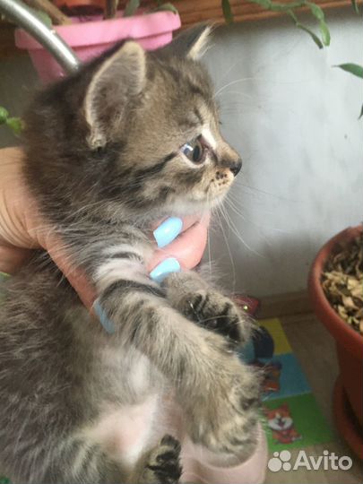 Малыши ждут мам и пап