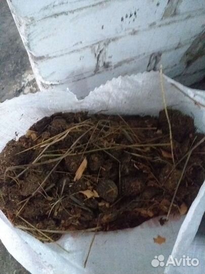 Конский навоз. Мульча