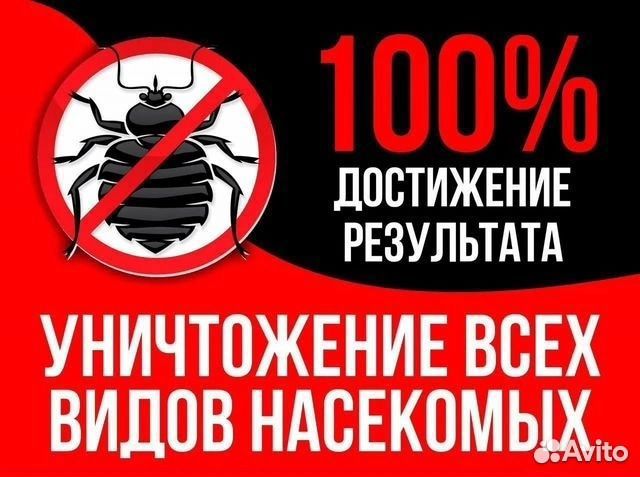 Обработка от клещей, уничтожение насекомых