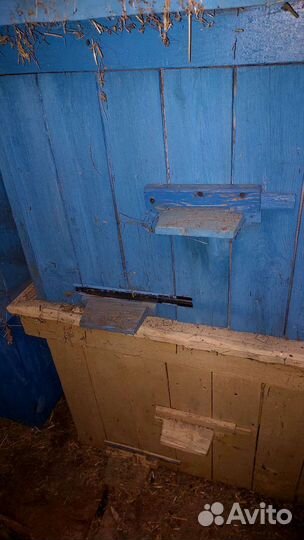 Пчёлы.Пчелиные улья