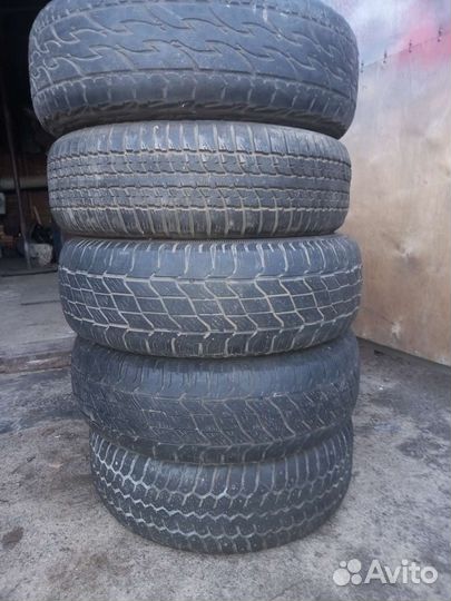 Pirelli Dragon 205/70 R15