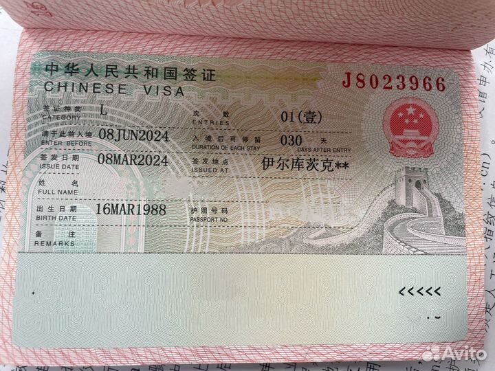 Виза в Китай. Без предоплаты. Удалённо
