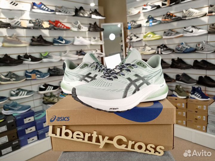 Кроссовки мужские беговые Asics GT-2000 mod.12