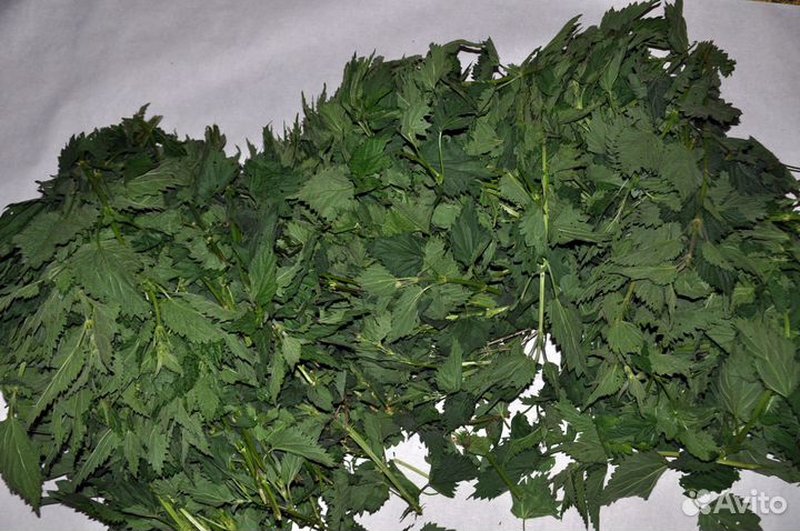 Кипрей. Крапива. Чистотел. Пижма. Лопух от 1 кг