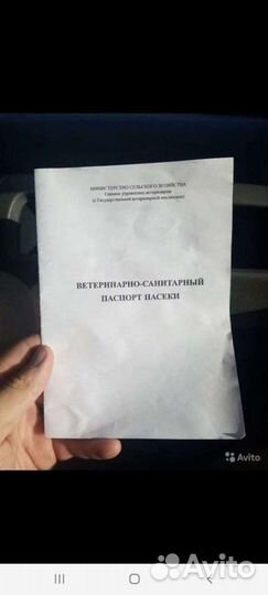 Мед,продукты пчеловодства