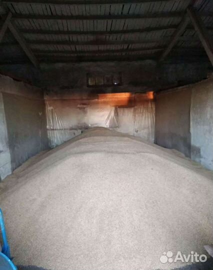 Продам ячмень