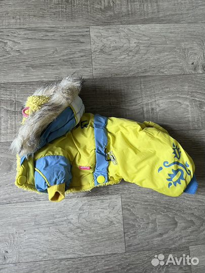 Зимняя куртка для собак