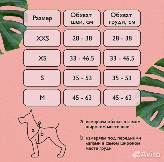 Шлейка и ошейник фирмы rurri (Urban Forest)