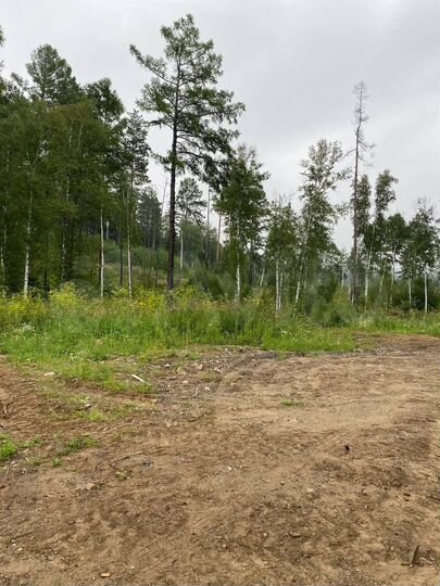 Участок 7,8 сот. (СНТ, ДНП)