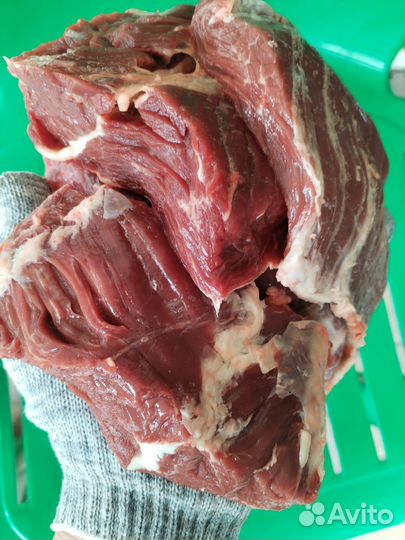 Говядина и свинина