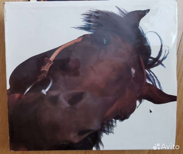 Книга фотоальбом Ветер в гриве, издание 1976