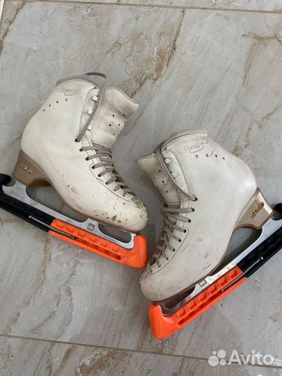 Фигурные коньки edea chorus 240