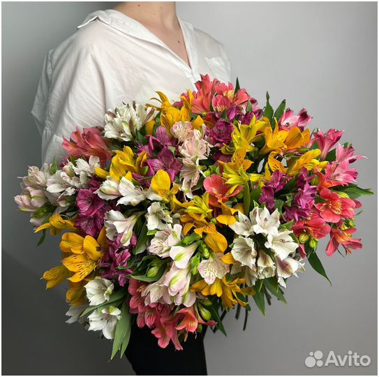 Цветы Альтромерия. Букеты