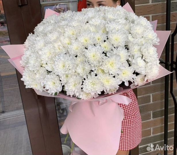 Хризантема кустовая букет из хризантем