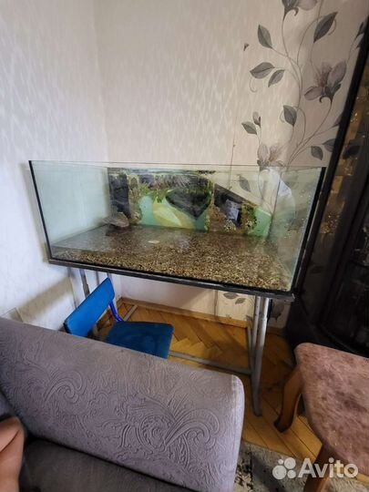 Аквариум террариум