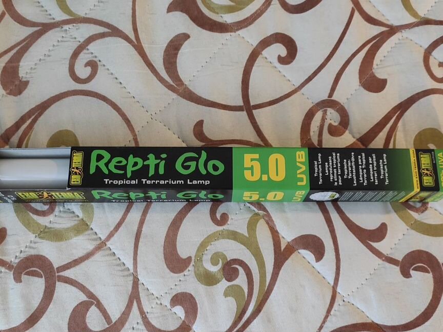 Repti glo 5.0 38 см