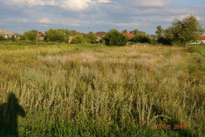 Участок 15 сот. (ИЖС)