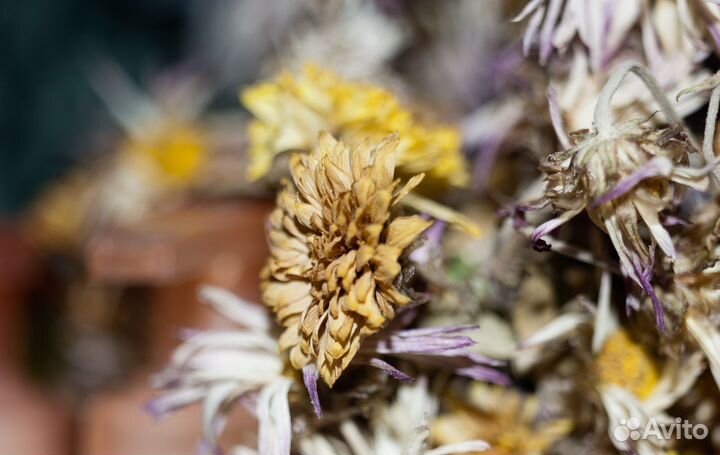 Объектив Индустар-50у СССР. И50У 3.5/50