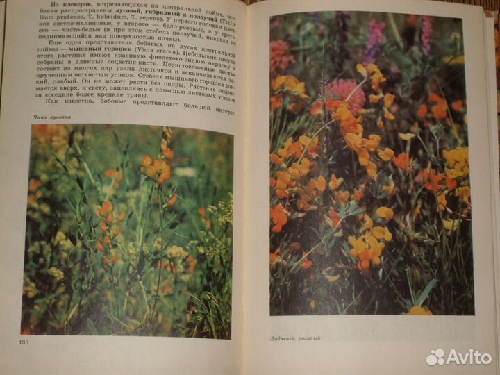 Педагогическая литература для воспитателей