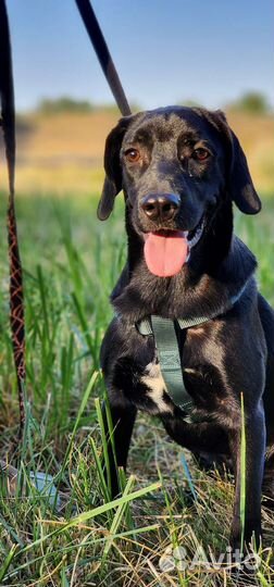 Кай в добрые ручки