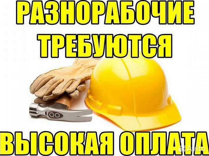 Разнорабочие, все районы, б/опыта, ежедневно зп(р)