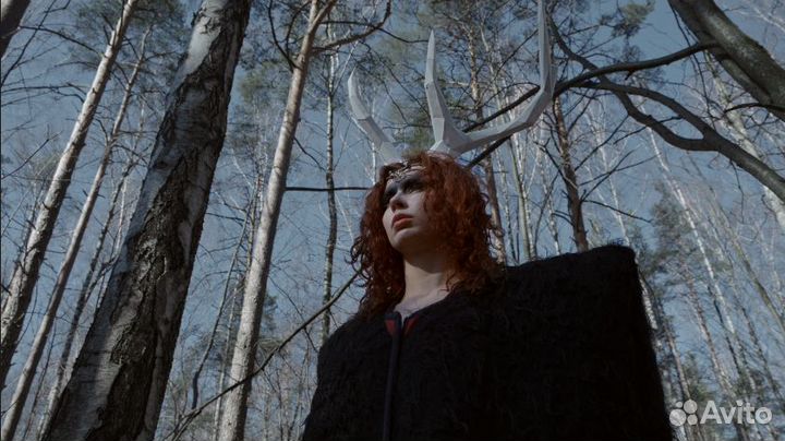 Режиссер, кинооператор, видеограф