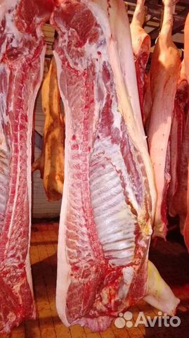 Мясо свинины в полутушах