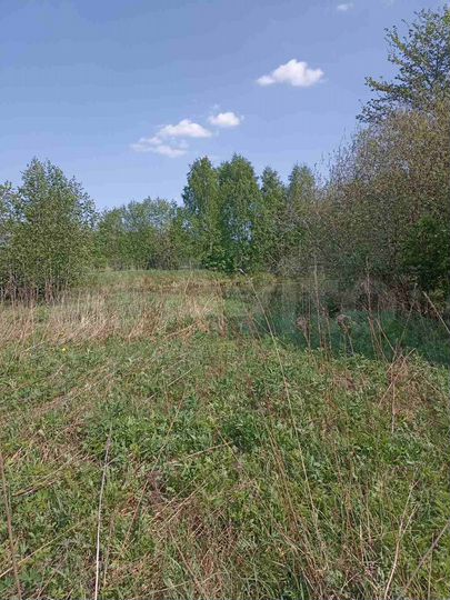 Участок 24 сот. (СНТ, ДНП)