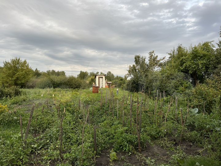 Участок 6 сот. (СНТ, ДНП)