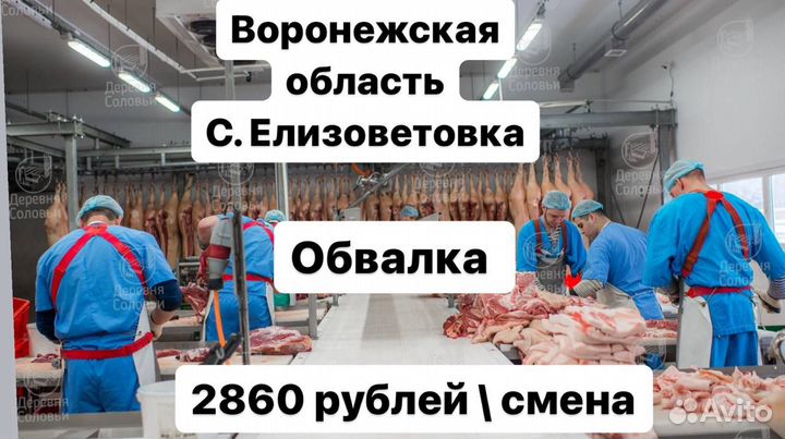 Разнорабочие на мясокомбинат Воронежская обл