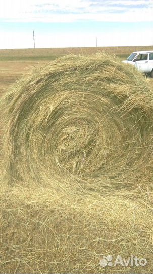 Сено луговое