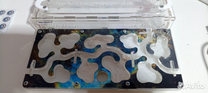 Муравьиная ферма