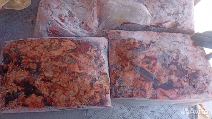 Мясо и кости для собак