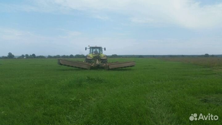 Сено 350кг луговое разнотравие мягкое, свежее