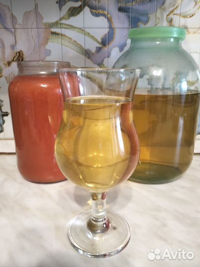 Винный- квасной и чайный гриб