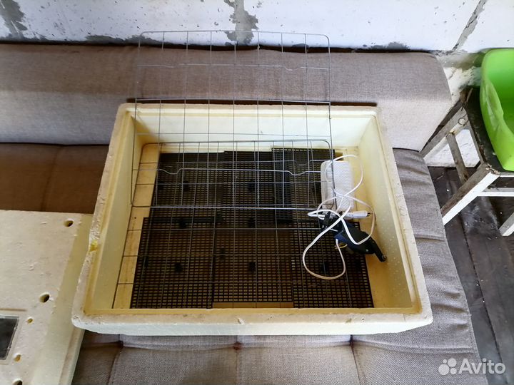 Инкубатор для яиц